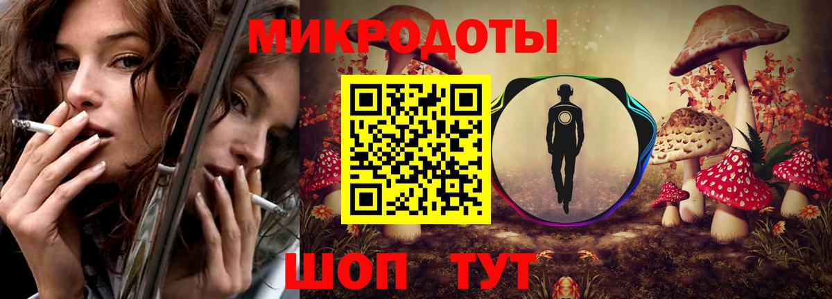 Тайшет  Галлюциногенные грибы MAGIC MUSHROOMS  Вход с VPN  Псилоцибиновые грибы Psilocybe 